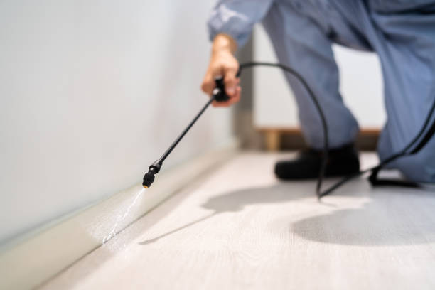 Licensed Rodent Control service in Ballplay, AL - Nex Pest Control