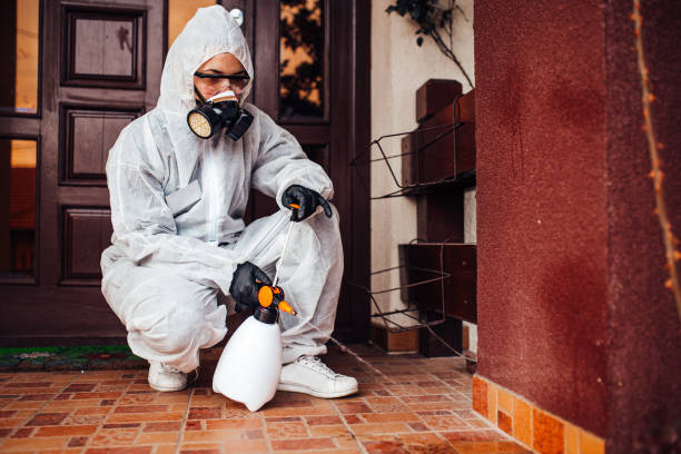 Reliable Rodent Control contractor in Ballplay, AL by Nex Pest Control
