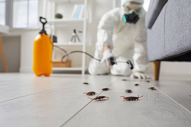 Trusted Rodent Control service in Ballplay, AL - Nex Pest Control