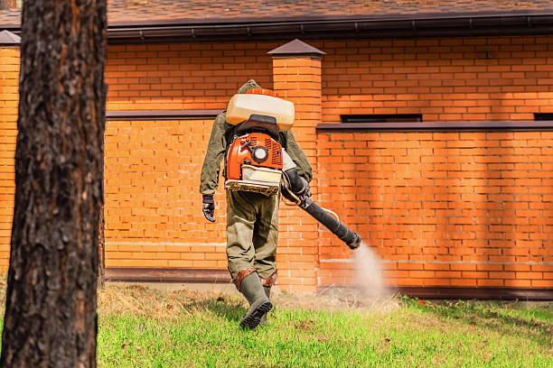 Trusted Cockroach Control service in Ballplay, AL - Nex Pest Control